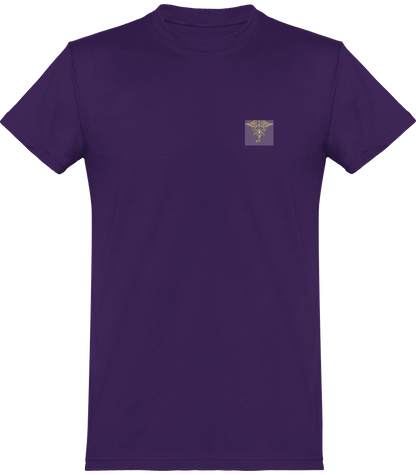 Tee Shirt Homme Healer of Steel