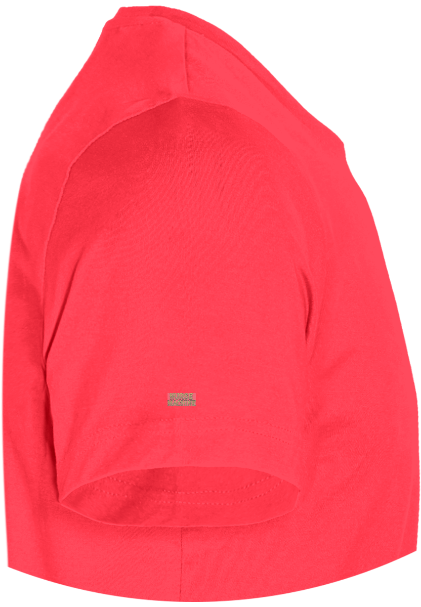 Tee Shirt Homme Healer of Steel